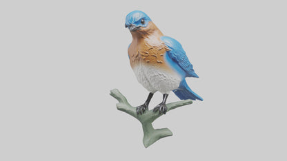 Eastern Bluebird statue model VR / AR / low-poly
