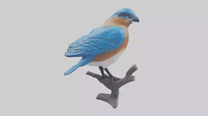 Eastern Bluebird statue model VR / AR / low-poly