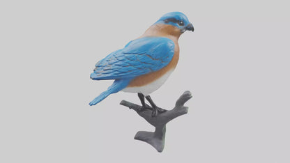 Eastern Bluebird statue model VR / AR / low-poly