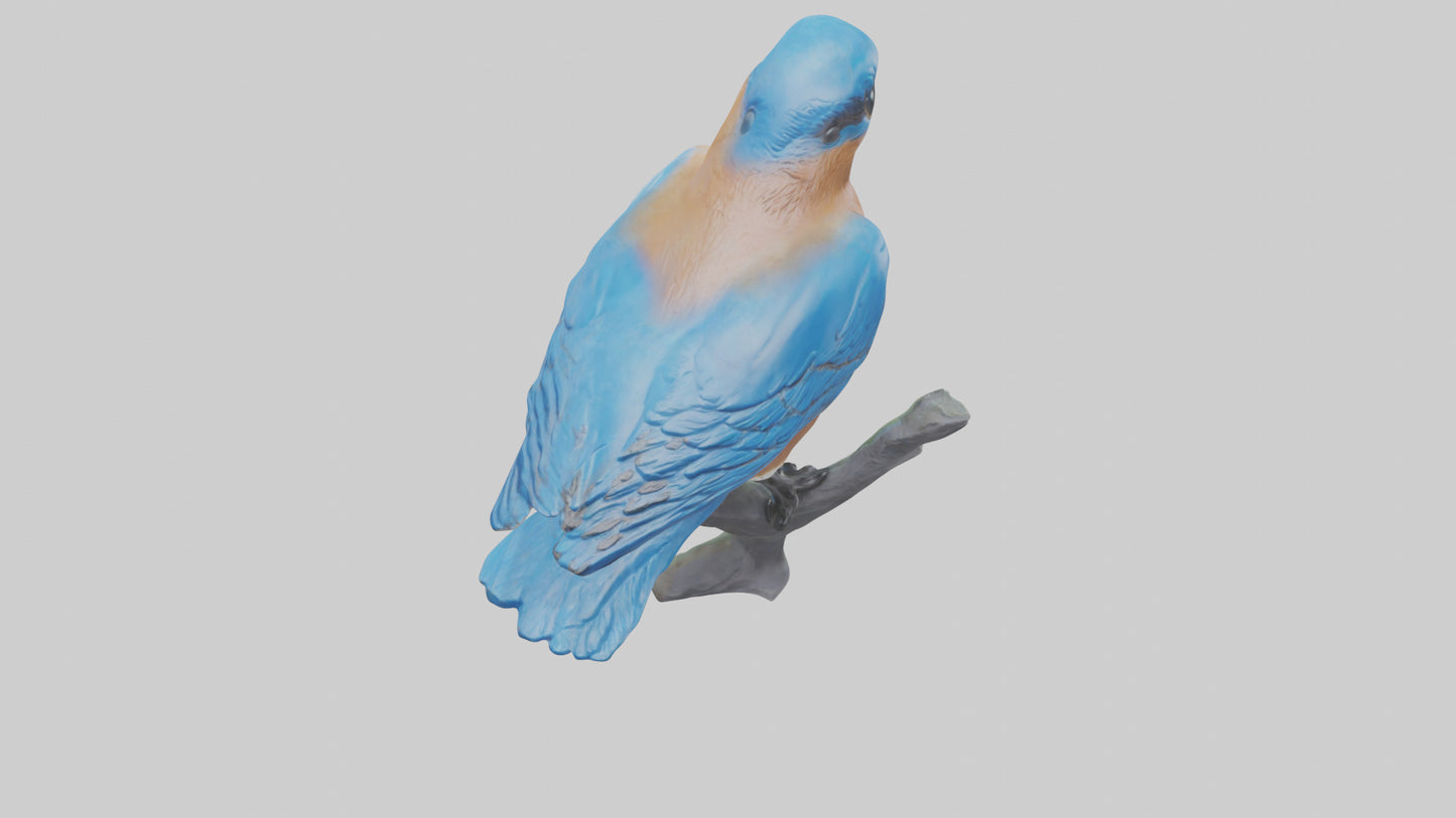 Eastern Bluebird statue model VR / AR / low-poly
