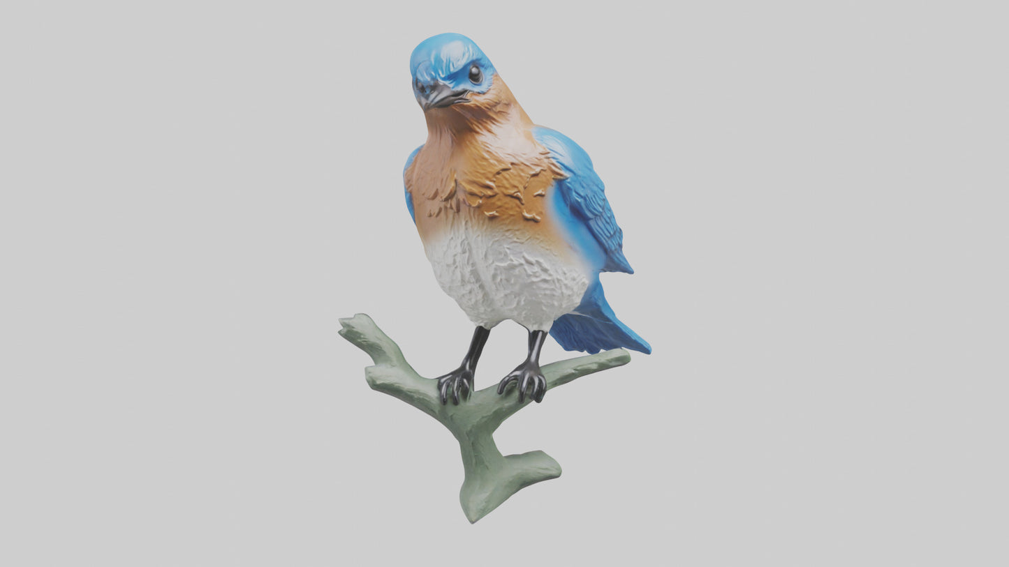Eastern Bluebird statue model VR / AR / low-poly