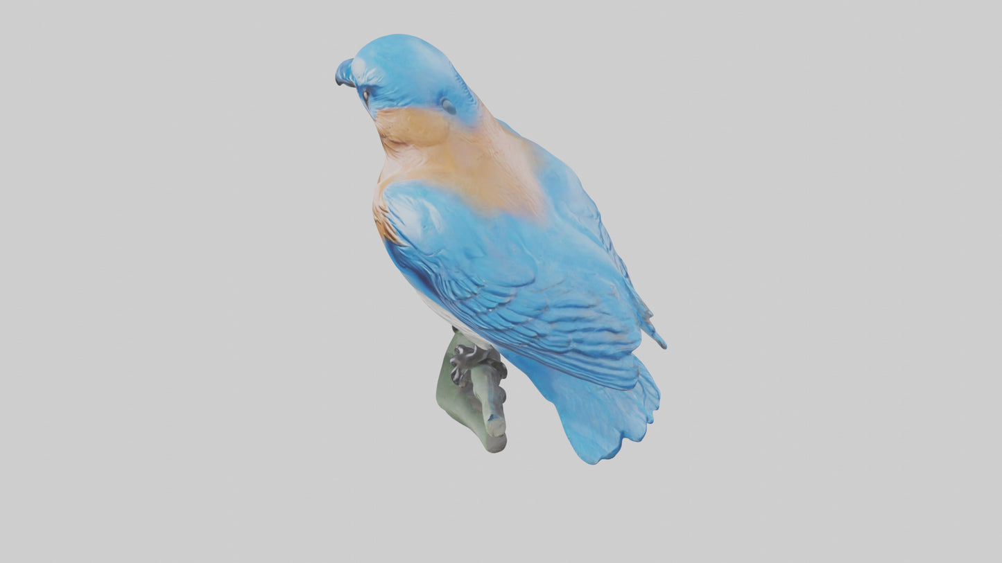 Eastern Bluebird statue model VR / AR / low-poly