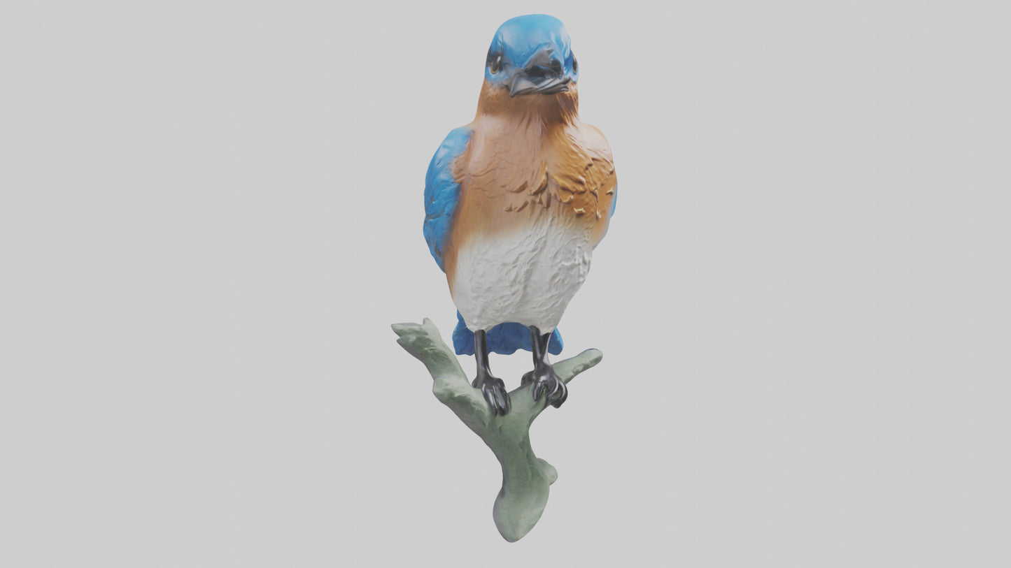 Eastern Bluebird statue model VR / AR / low-poly