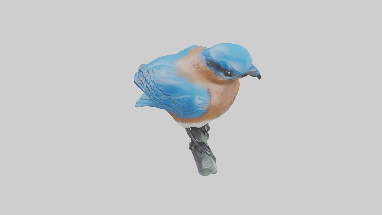 Eastern Bluebird statue model VR / AR / low-poly