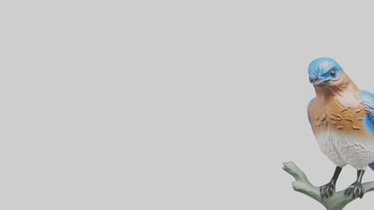 Eastern Bluebird statue model VR / AR / low-poly
