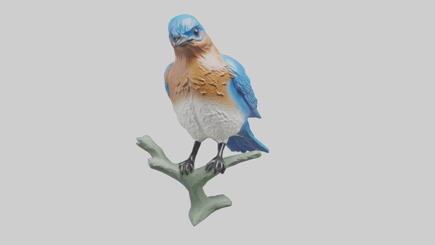 Eastern Bluebird statue model VR / AR / low-poly