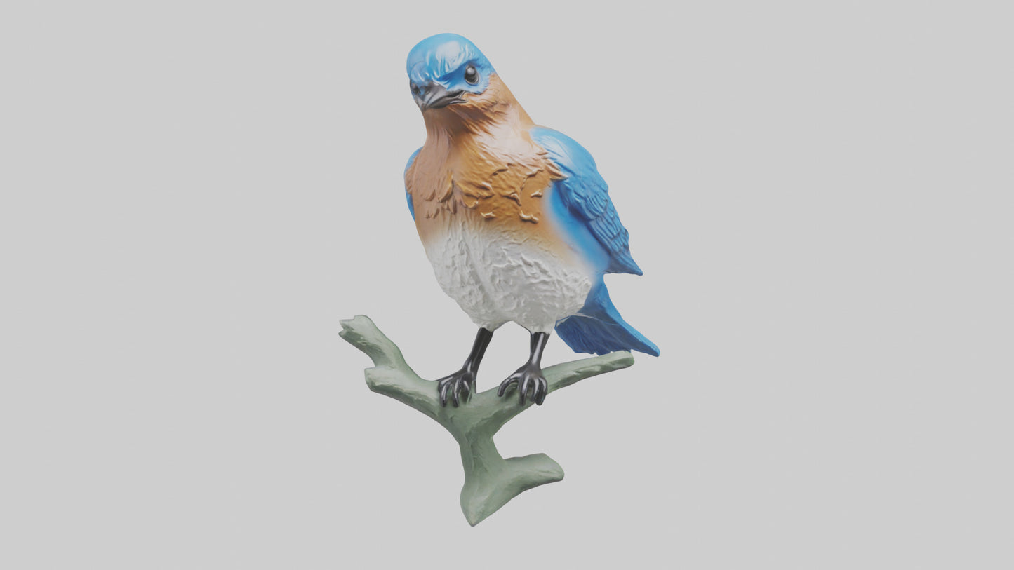 Eastern Bluebird statue model VR / AR / low-poly