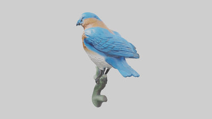 Eastern Bluebird statue model VR / AR / low-poly