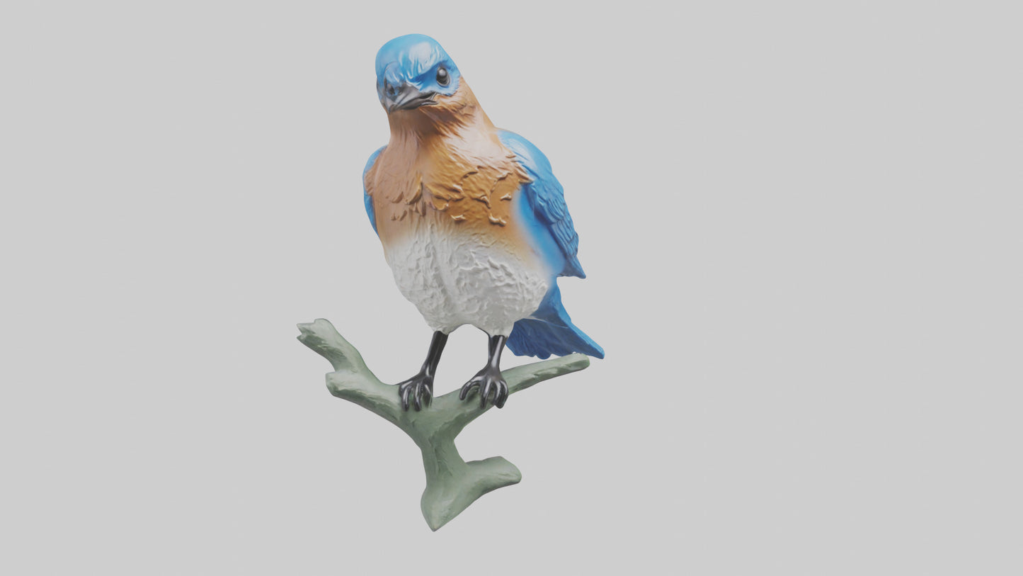 Eastern Bluebird statue model VR / AR / low-poly