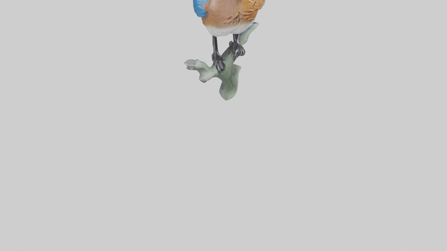 Eastern Bluebird statue model VR / AR / low-poly