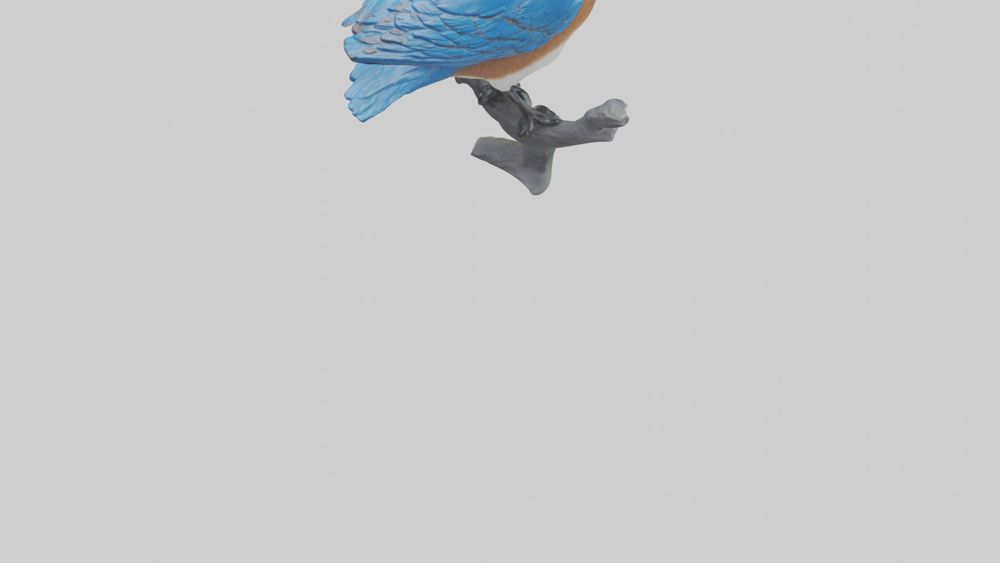 Eastern Bluebird statue model VR / AR / low-poly