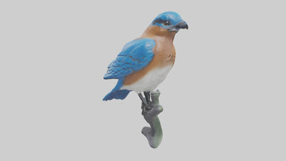 Eastern Bluebird statue model VR / AR / low-poly