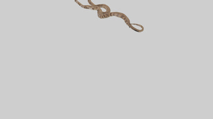 Eastern Diamondback Rattlesnake slithering model VR / AR / low-poly