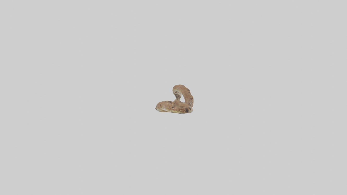 Eastern Diamondback Rattlesnake slithering model VR / AR / low-poly