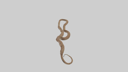 Eastern Diamondback Rattlesnake slithering model VR / AR / low-poly