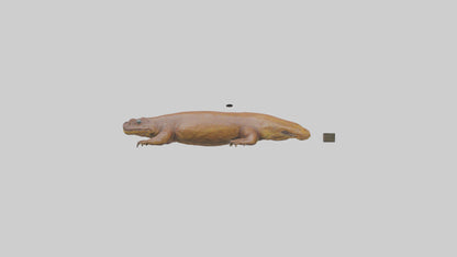 Eastern Hellbender resting model VR / AR / low-poly