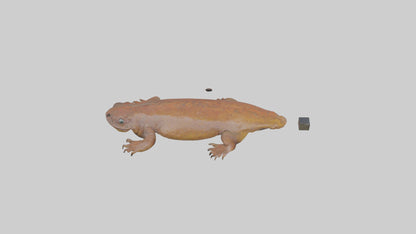 Eastern Hellbender resting model VR / AR / low-poly