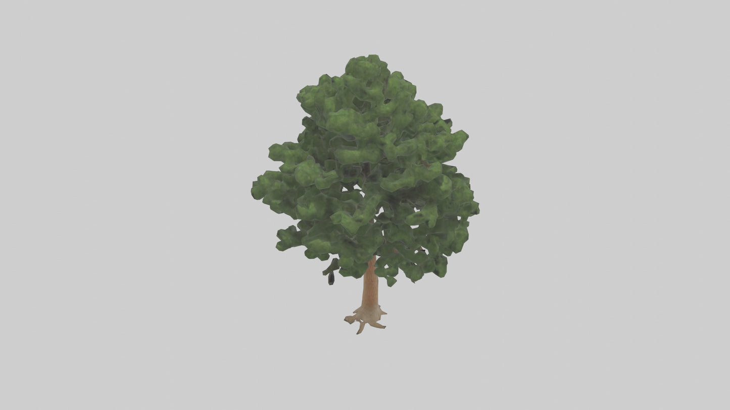 Eastern Hemlock tree model 3D model