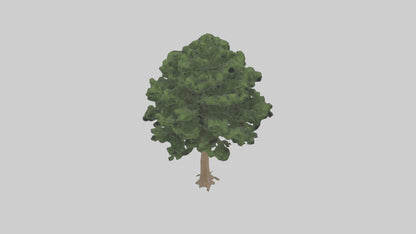 Eastern Hemlock tree model 3D model