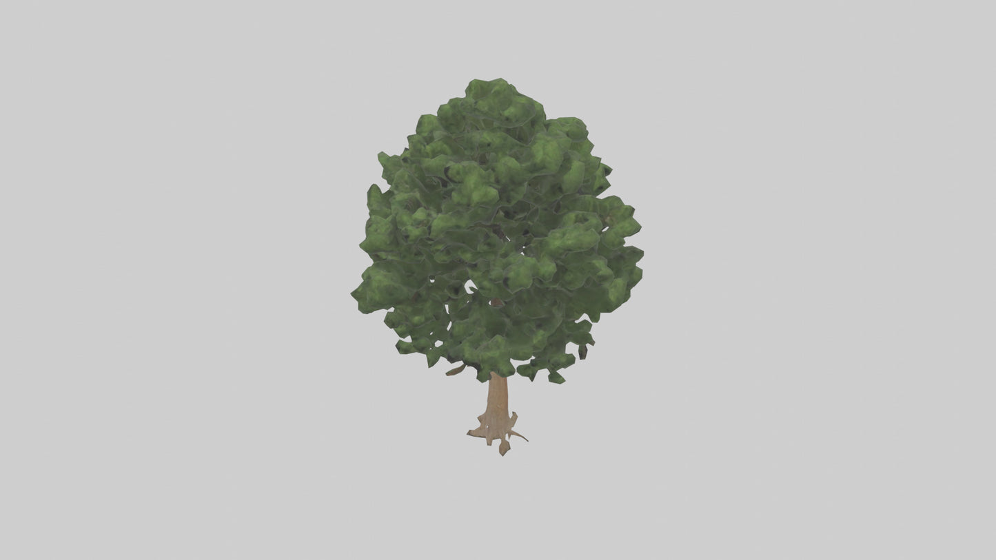 Eastern Hemlock tree model 3D model