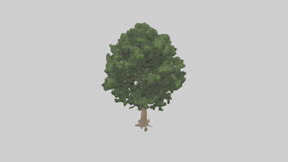 Eastern Hemlock tree model 3D model