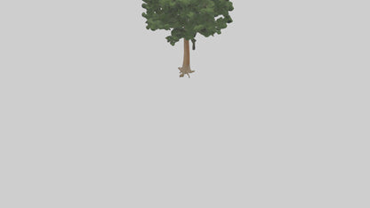 Eastern Hemlock tree model 3D model
