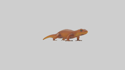 Eastern Newt crawling model VR / AR / low-poly