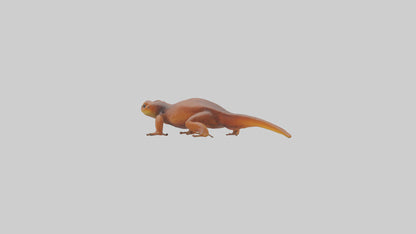 Eastern Newt crawling model VR / AR / low-poly