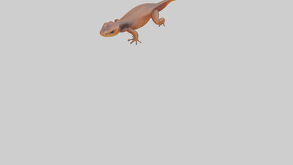 Eastern Newt crawling model VR / AR / low-poly