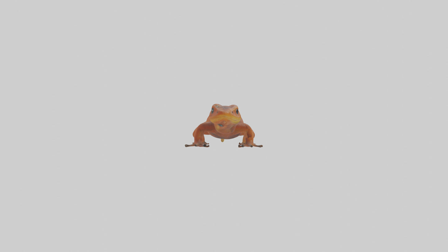 Eastern Newt crawling model VR / AR / low-poly