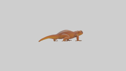 Eastern Newt crawling model VR / AR / low-poly
