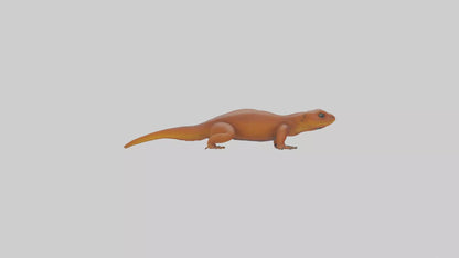 Eastern Newt crawling model VR / AR / low-poly