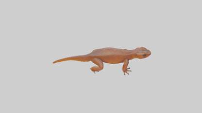 Eastern Newt crawling model VR / AR / low-poly