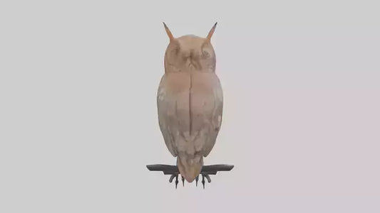 Eastern Screech Owl Sitting Model 3D model