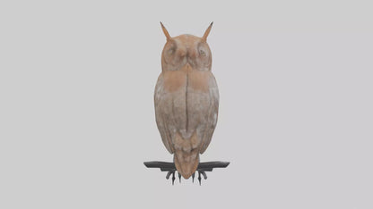 Eastern Screech Owl Sitting Model 3D model