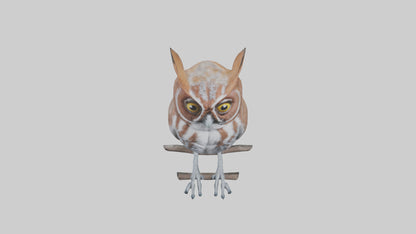 Eastern Screech Owl Sitting Model 3D model