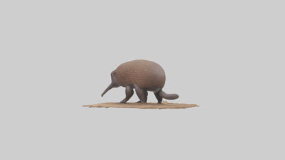 3D model Echidna burrowing model VR / AR / low-poly