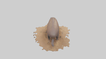 3D model Echidna burrowing model VR / AR / low-poly