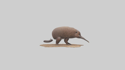 3D model Echidna burrowing model VR / AR / low-poly