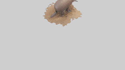 3D model Echidna burrowing model VR / AR / low-poly