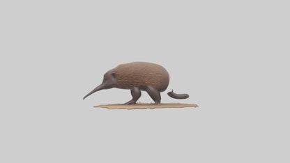3D model Echidna burrowing model VR / AR / low-poly