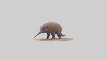 3D model Echidna burrowing model VR / AR / low-poly