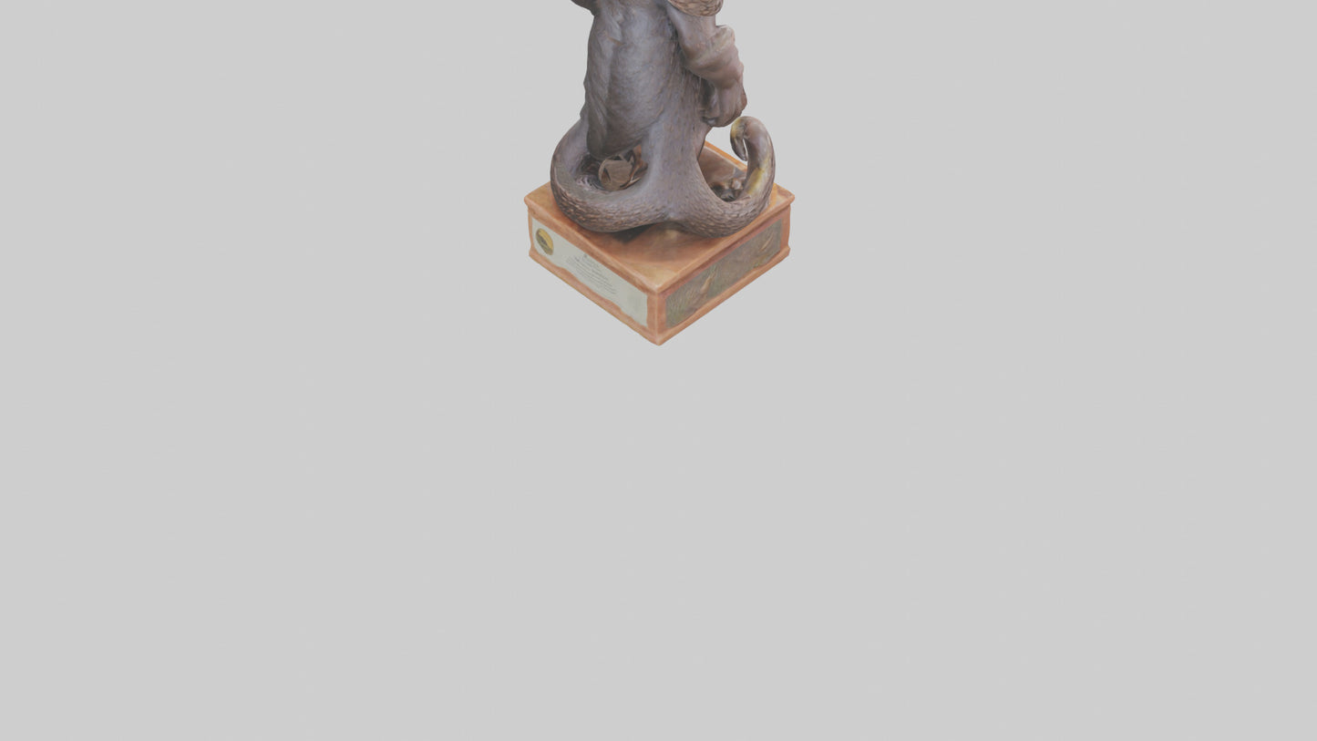 Echidna statue model 3D model