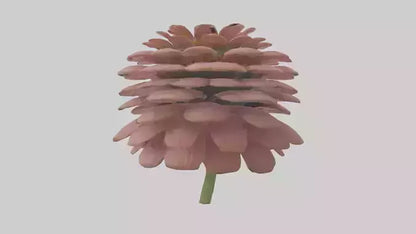 Echinacea model 3D model
