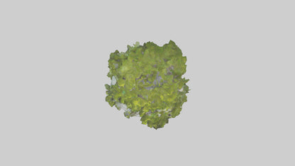 Ecological Rebirth Statue model 3D model