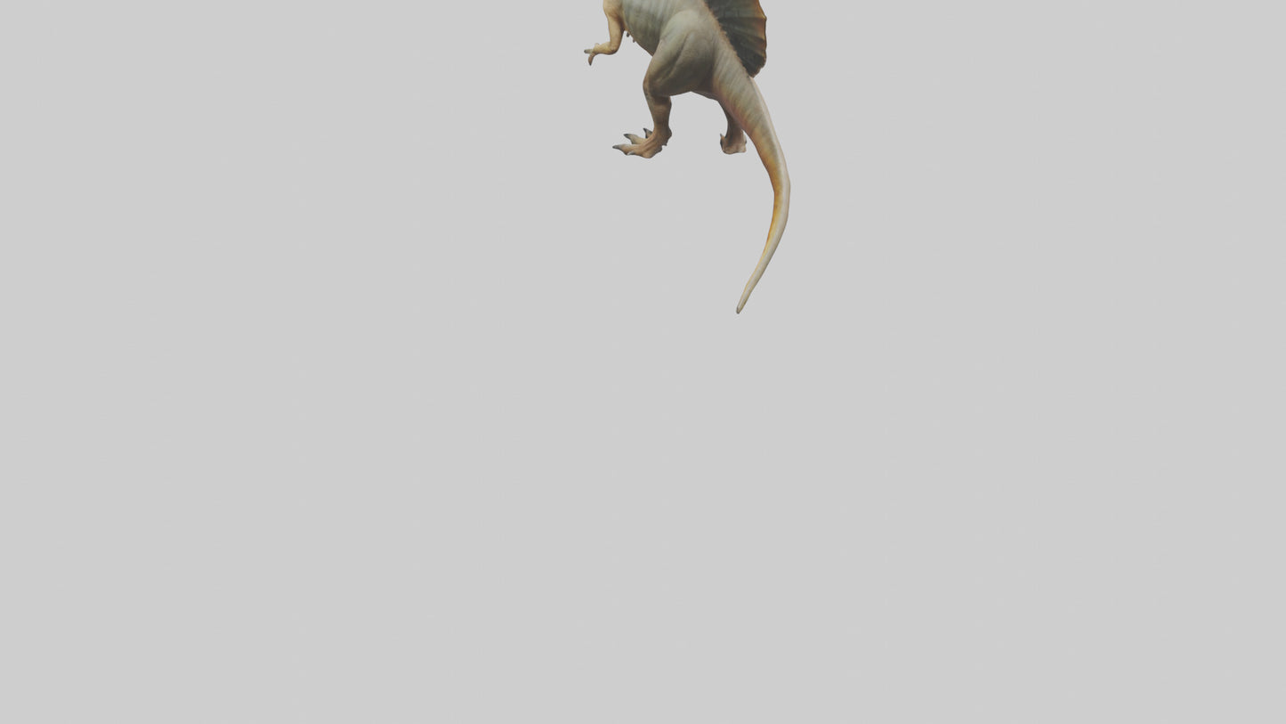 Edaphosaurus model 3D model