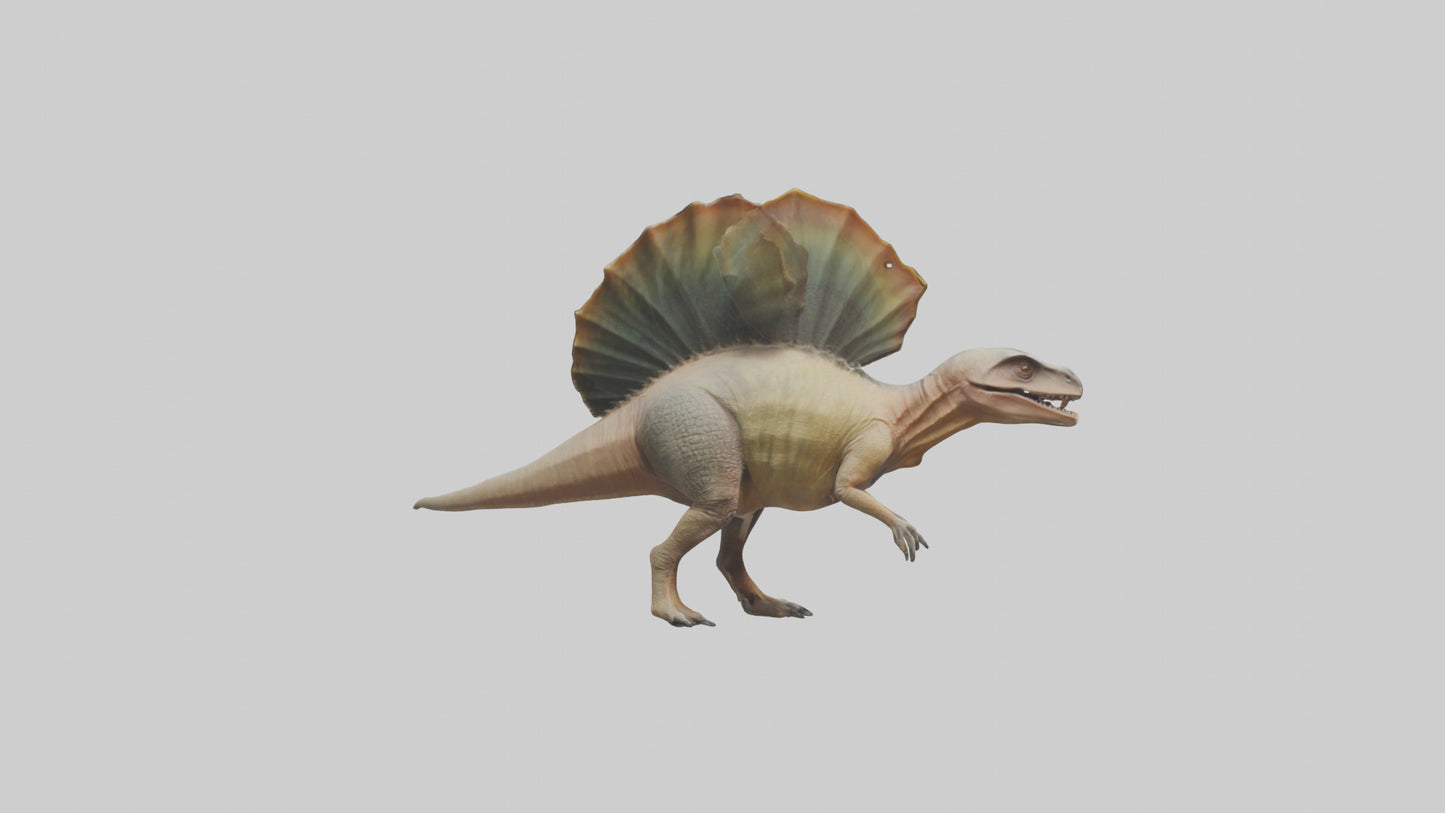 Edaphosaurus model 3D model