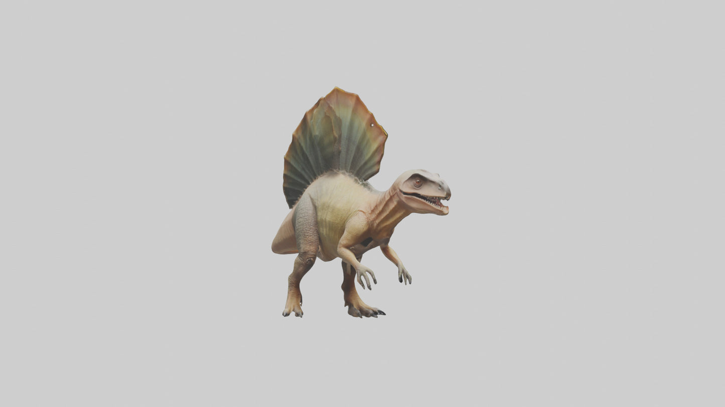 Edaphosaurus model 3D model
