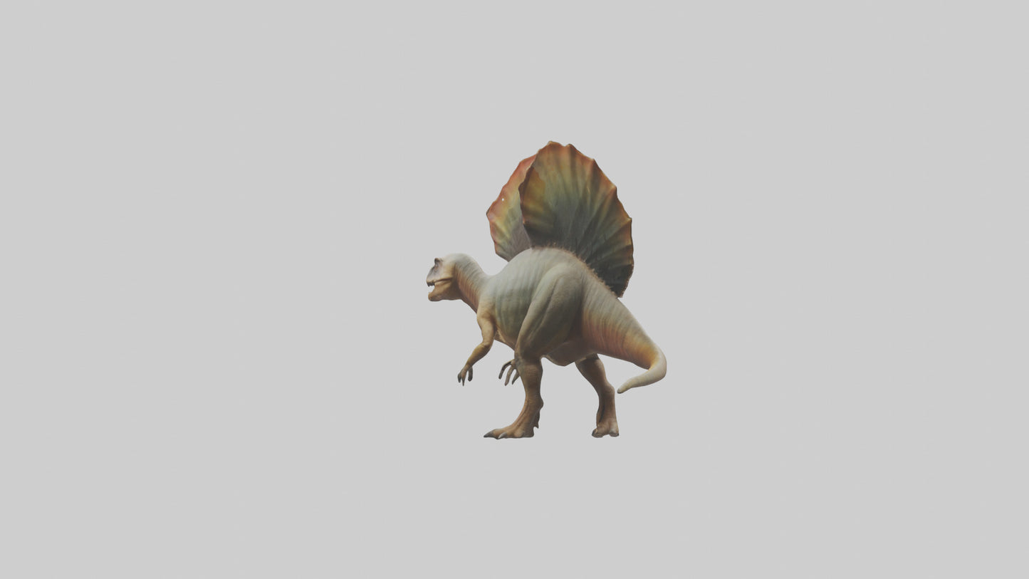 Edaphosaurus model 3D model