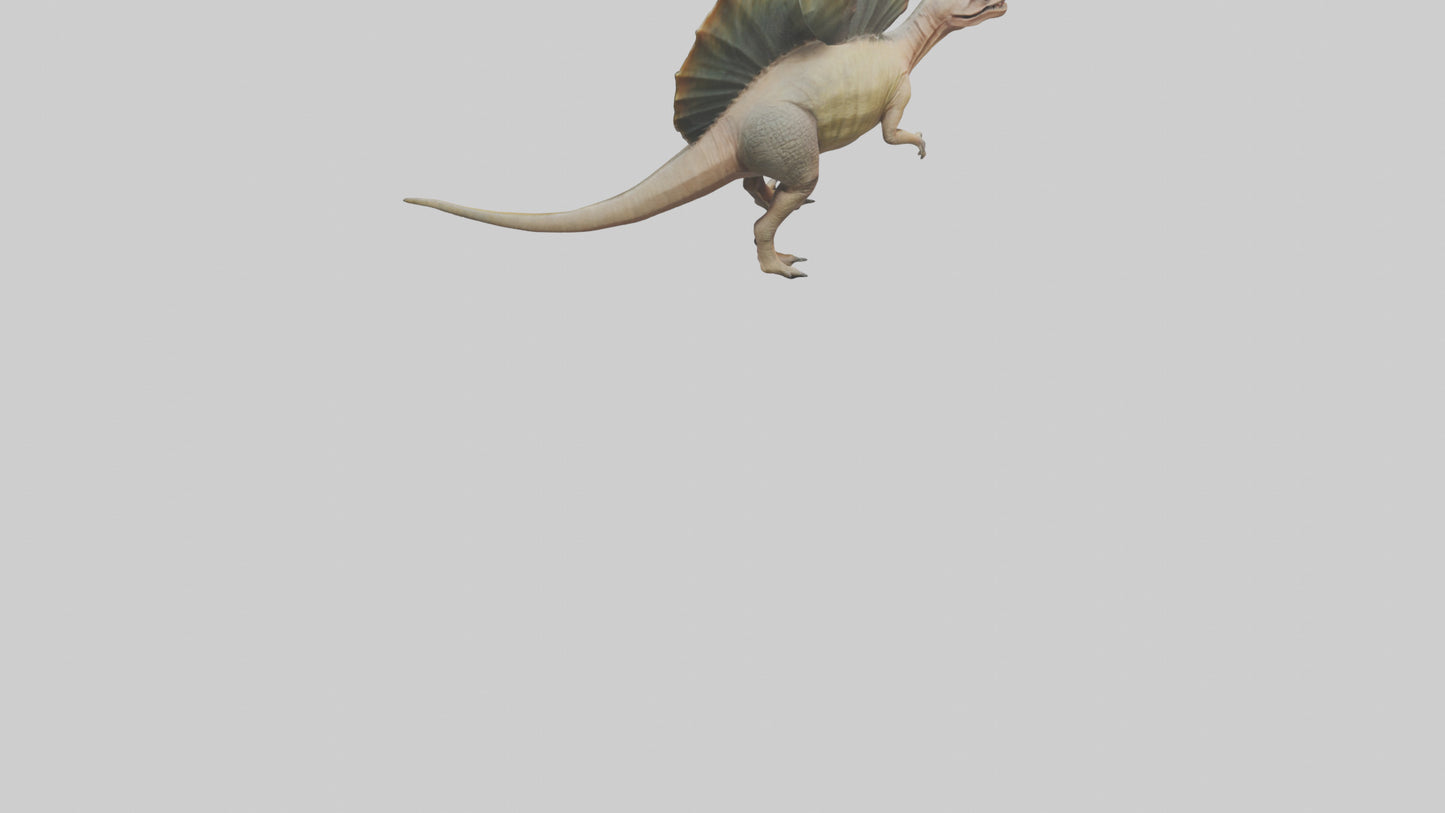 Edaphosaurus model 3D model